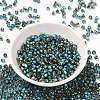 Glass Seed Beads SEED-H002-B-D223-2