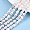 Natural Cultured Freshwater Pearl Beads Strands PEAR-S017-006-2
