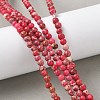Dyed Natural Regalite/Imperial Jasper/Sea Sediment Jasper Beads Strands G-B124-C05-6