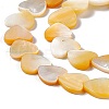 Natural Yellow Shell Beads Strands SHEL-F003-01B-4
