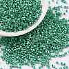 Cylinder Seed Beads X-SEED-H001-D09-1