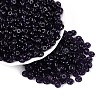 Transparent Colours Glass Seed Beads SEED-Q042-01A-B04-1