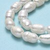 Natural Cultured Freshwater Pearl Beads Strands PEAR-J006-18B-01A-4