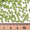 8/0 Glass Seed Beads SEED-A012-3mm-124-3