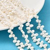 Natural Cultured Freshwater Pearl Beads Strands PEAR-I007-03A-01-1