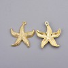 Zinc Alloy Pendants LS-PALLOY-B740-G-2