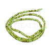 Natural Peridot Beads Strands G-P457-B01-06-3