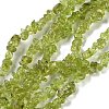 Natural Peridot Beads Strands G-P332-48-01-1