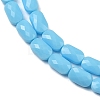 Opaque Glass Beads Strands GLAA-Z018-D20-3