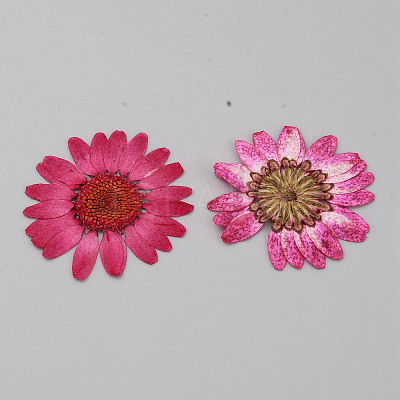 Pressed Dried Flowers DIY-WH0308-412A-1-1