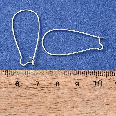 Brass Hoop Earrings Findings Kidney Ear Wires LS-EC221-S-1