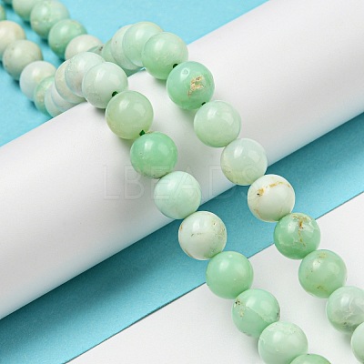 Grade A Natural Chrysoprase Beads Strands G-R494-A02-03-1