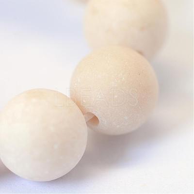 Frosted Natural Fossil Round Bead Strands G-E334-4mm-22-1