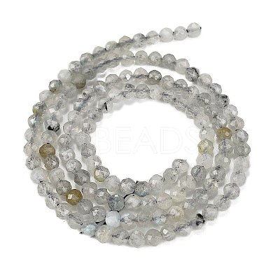 Natural Labradorite Beads Strands G-I341-11A-1