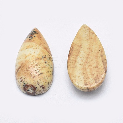 Natural Picture Jasper Cabochons G-P384-M04-1