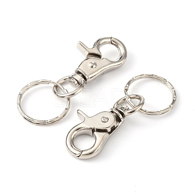 Iron Swivel Clasps with Key Rings HJEW-H017-P-1