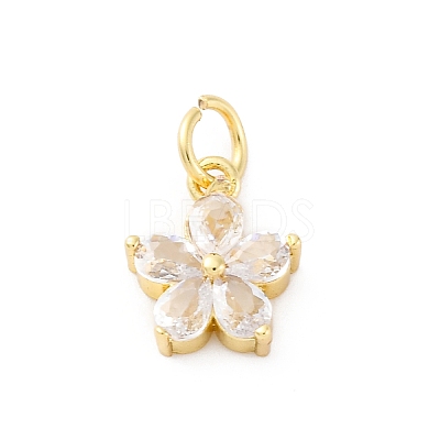 Brass Micro Pave Cubic Zirconia Charms X-KK-S510-13G-1