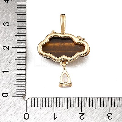 Natural Tiger Eye Carved Pendants GG-CBA5963-03F-1