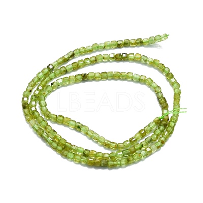 Natural Peridot Beads Strands G-P457-B01-06-1