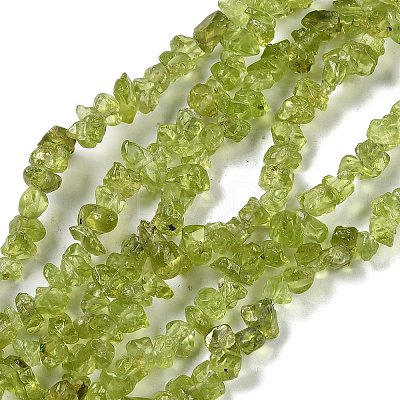 Natural Peridot Beads Strands G-P332-48-01-1