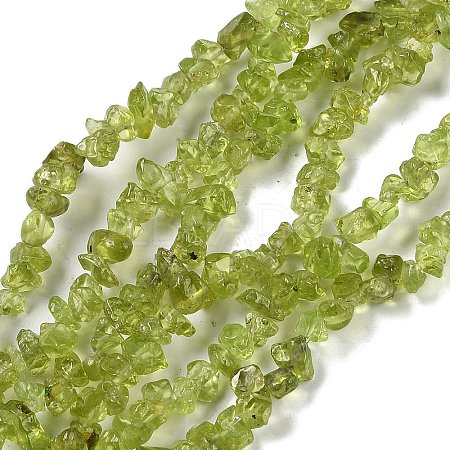 Natural Peridot Beads Strands G-P332-48-01-1