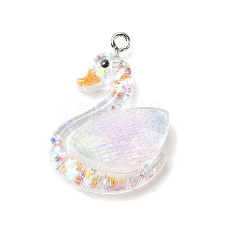 Transparent Resin Pendants RESI-H036-01E-1