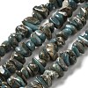 Natural Serpentine Beads Strands G-F771-C01-02-1