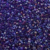 MIYUKI Delica Beads SEED-J020-DB1755-3
