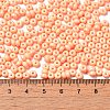 Baking Paint Glass Seed Beads SEED-B001-02A-16-4