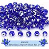 Handmade Lampwork Beads LAMP-NB0001-67-4