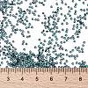 MIYUKI Round Rocailles Beads SEED-X0056-RR0362-4
