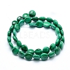 Natural Malachite Beads Strands G-D0011-06-10mm-2