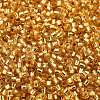 Glass Seed Beads SEED-S042-04B-12-3