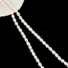  2 Strands 2 Styles Natural Cultured Freshwater Pearl Beads Strands PEAR-NB0002-07-1