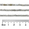 Natural Labradorite Beads Strands G-I341-11A-4