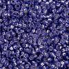 MIYUKI Round Rocailles Beads SEED-X0056-RR0649-4