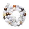 Natural White African Opal Beads Strands G-K245-A18-05-2
