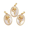 Rack Plating Brass Pave Shell Oval Pendants KK-U032-92G-10-1