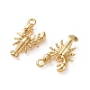 Ocean Brass Pendants KK-L266-02G-G-2