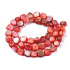 Natural Trochid Shell/Trochus Shell Beads Strands SHEL-S258-083-B06-2