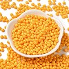 6/0 Opaque Baking Paint Glass Seed Beads X1-SEED-M012-02A-21-2