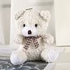Cute Plush PP Cotton Bear Doll Pendant Decorations PW-WG35616-01-2