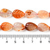 Natural Agate Carved Beads Strands G-H024-B01-01-5