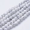 Natural Howlite Beads Strands G-T055-10mm-02-1