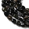 Natural Tourmaline Beads Strands G-C268-A02-8x10mm-4