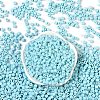 Opaque Acrylic Beads OACR-B025-06G-2