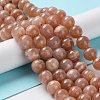 Round Natural Grade B Sunstone Beads Strands G-F222-33-10mm-4