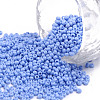 11/0 FGB Grade A Baking Paint Glass Seed Beads X-SEED-N001-A-1022-1