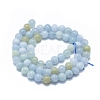 Natural Aquamarine Beads Strands G-D0013-67B-2