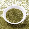 MIYUKI Delica Beads SEED-X0054-DB2164-2